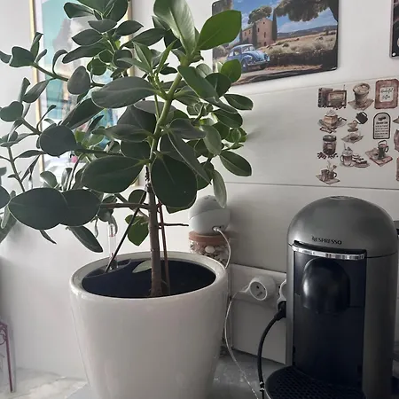 La Dolce Apartment *